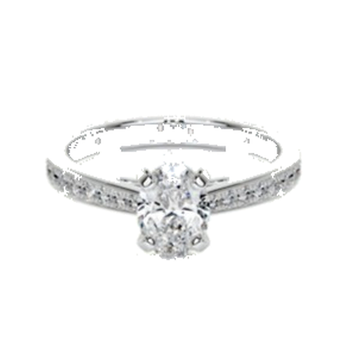 Engagement Ring SER0038 — Oval Pavé Band in White Gold